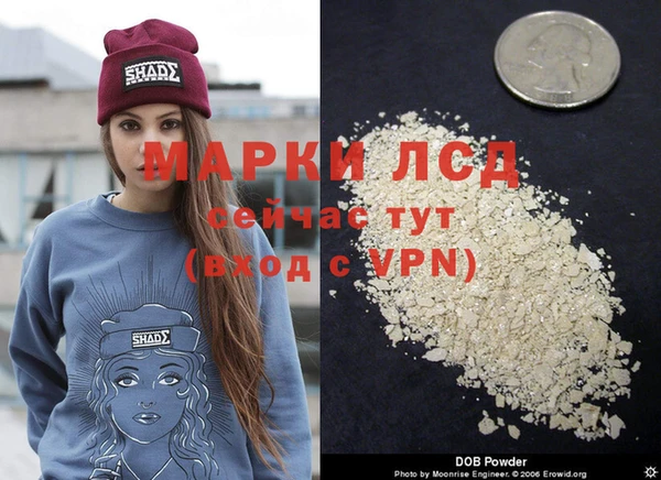сатива Алексин